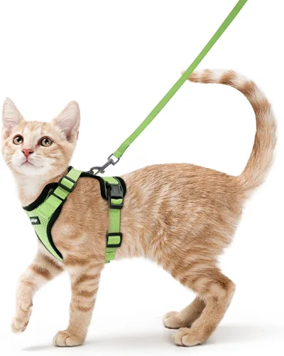 Miniatura 30 de rabbitgoo Juego de arnés y correa para gatos, arnés a prueba de escapes para paseos seguros al aire libre, chaleco suave transpirable ajustable