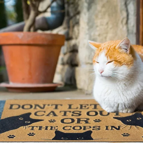 Miniatura 6 de Tapetes de bienvenida para puerta delantera, entrada al aire libre, no dejes salir a los gatos o a los policías, tapete de goma antideslizante