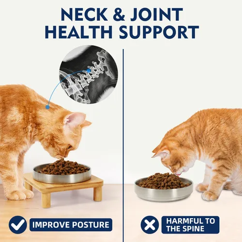 Miniatura 4 de DoogCat Cuencos elevados para gatos de interior – Soporte elevado de bambú para gatos con platos de acero inoxidable de 5.5 pulgadas de ancho, plato