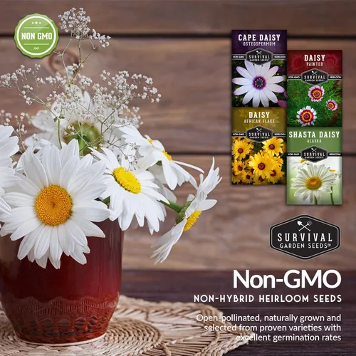 Miniatura 5 de Survival Garden Seeds Colección de semillas de margaritas para plantar, 4 paquetes, escamas africanas, capa, pintadas y margaritas Shasta, semillas