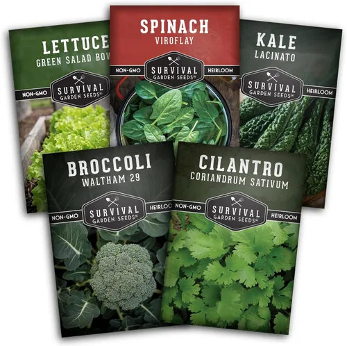 Colección de semillas de jardín Cool Weather | Plantación de otoño y primavera - Cultiva brócoli, col rizada, lechuga, espinaca y cilantro |