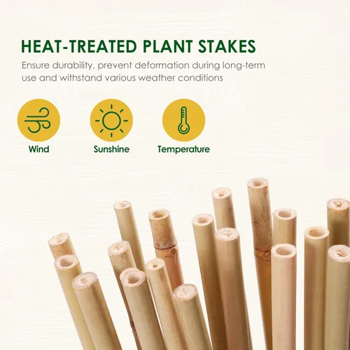Miniatura 3 de Cambaverd Varillas de bambú para plantas, estacas de bambú de 2 pies para jardinería interior, estacas para plantas en maceta, mini árboles, estacas