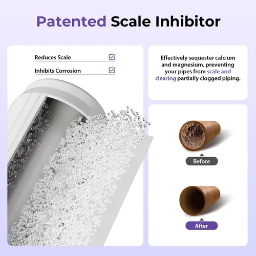 Miniatura 3 de iSpring WGB21B-DS+AHPF12MNPT16X2 Sistema de filtración de agua para toda la casa de 2 etapas con filtro CTO y filtro anti-incrustaciones, conectores