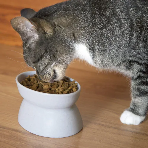 Miniatura 3 de Kitty City Cuencos elevados para gatos (juego de 2), platos elevados amigables con los bigotes para alimentos y agua para gatos, diseño moderno