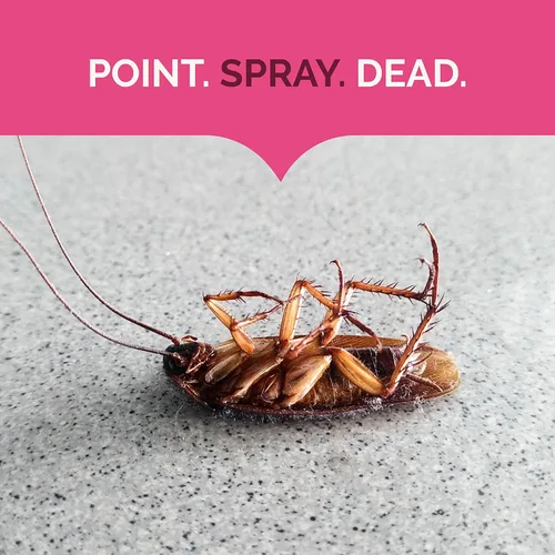 Miniatura 4 de Hot Shot Asesino de hormigas, cucarachas y arañas, 17.5 onzas, mata cucarachas y hormigas listadas en contacto, insecticida en aerosol