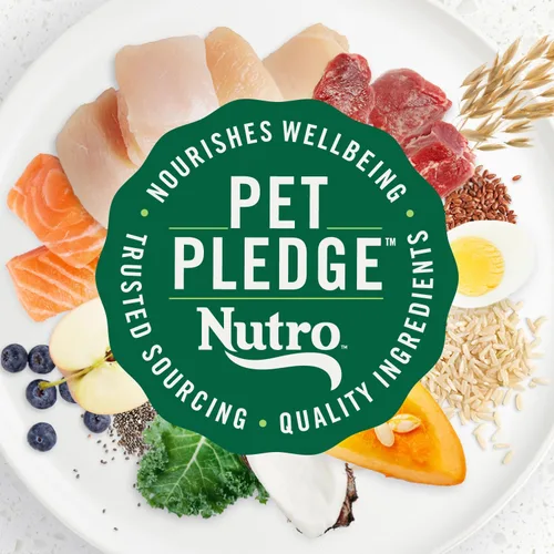 Miniatura 13 de Nutro Alimento seco para cachorros ultra alto en proteínas, trío de proteínas de pollo, cordero y salmón, bolsa de 3.5 libras