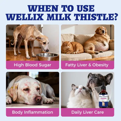 Miniatura 5 de Wellix Cardo mariano de 4.1 fl oz para gatos y perros, fórmula avanzada con astaxantina para desintoxicación y antioxidante, suplemento de hígado