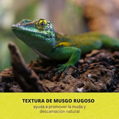 Miniatura 6 de Zilla Guarida de roca para terrario de mascotas, escondite para reptiles para lagartos, gecos y más, mediano