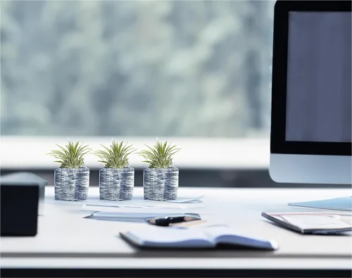Miniatura 2 de 3 soportes decorativos para plantas de aire de barril + 3 plantas de aire Tillandsia gratis: cocina, dormitorio, baño, oficina, bodas y baby