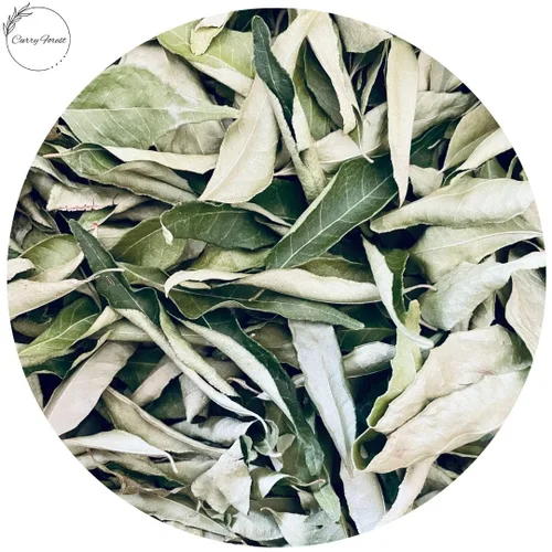 Miniatura 11 de CurryForest Hojas de curry secas de primera calidad, 100% naturales, sin pesticidas, cultivadas en Estados Unidos, secado al aire, 0.35-0.53 oz