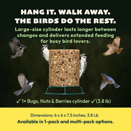 Miniatura 6 de JCs Wildlife Bugs Nuts and Berries - Cilindro grande de semillas de aves con agujero, cero relleno para comederos exteriores, llaves de pájaros