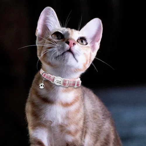 Miniatura 6 de Collares personalizados de gato con campana de lazo, liberación rápida, impresión HD, collares personalizados para gatitos para niñas y niños