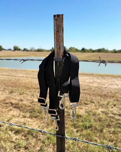 Miniatura 3 de AJ Tack Correas de repuesto para mantas de caballo
