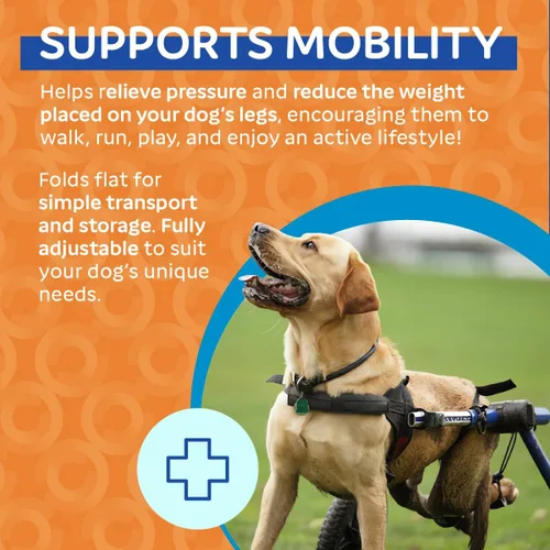 Miniatura 5 de Walkin' Wheels Silla de ruedas para perros, para perros medianos y grandes, de 50 a 69 libras, aprobada por veterinarios, silla de ruedas para Azul