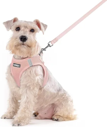 Miniatura 123 de rabbitgoo Juego de arnés para perro de tamaño pequeño y correa, chaleco ligero suave para cachorro, arnés de malla transpirable para mascotas
