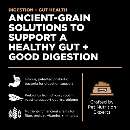 Miniatura 2 de Go! Solutions Digestion + Gut Health - Alimento seco de salmón para perros, croquetas premium sin pollo para bienestar gastrointestinal y digestivo