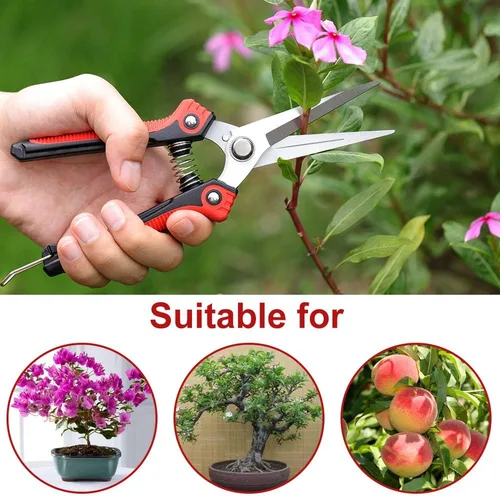 Miniatura 8 de WYF Tijeras de podar, tijeras de jardín profesionales, cuchillas rectas de acero inoxidable, podadora de mano afilada para jardinería para jardín