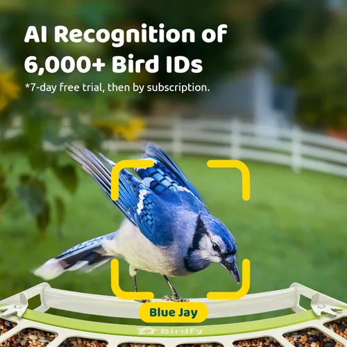 Miniatura 4 de Birdfy Comedero inteligente para pájaros con cámara, alimentador de pájaros de metal duradero para exteriores, detección automática y grabación