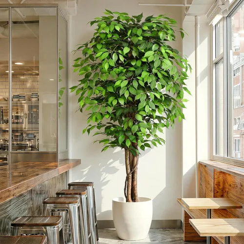 Miniatura 10 de Árboles artificiales de ficus de 3 pies con troncos naturales curvados, árbol exuberante de 36" de altura, árbol falso de ficus realista en verde