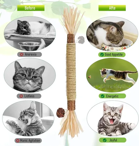 Miniatura 4 de Silvervine - Palitos dentales naturales Silvervine para gatos, resistentes a arañazos y mordeduras, juguete para gatos de interior y gatos adultos
