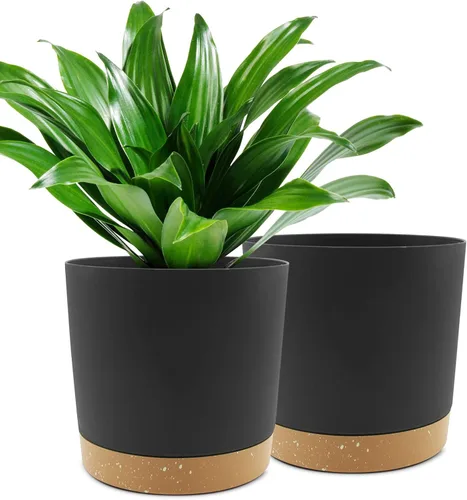 QCQHDU Maceta de 10 pulgadas, paquete de 2 macetas para plantas de interior con agujeros de drenaje y platillo, macetas para exteriores, decoración