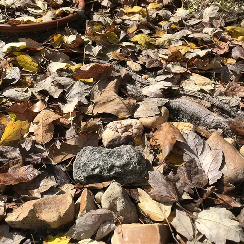 Miniatura 3 de (Tipo-A (Negro), 1 Paquete) Roca Falsa - Parece Piedra - Segura para Exteriores - Caja Fuerte Secreta para Exteriores para Llaves, Roca de Piedra