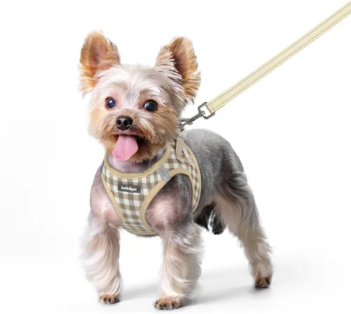Miniatura 147 de rabbitgoo Juego de arnés para perro de tamaño pequeño y correa, chaleco ligero suave para cachorro, arnés de malla transpirable para mascotas
