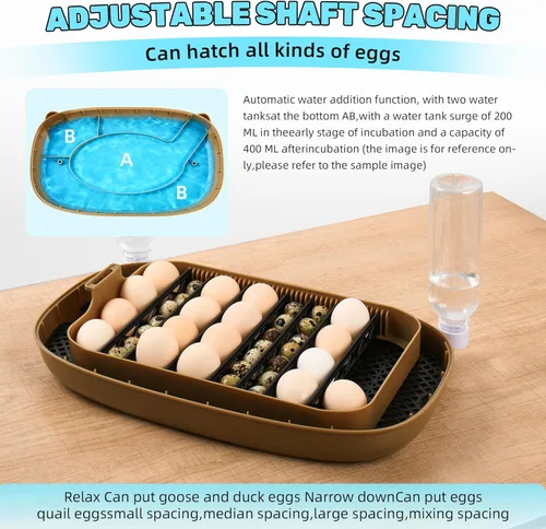 Miniatura 4 de Ploomi Incubadora de 24 huevos con recarga automática de agua y control de humedad, girador automático de huevos, vela LED integrada, preprogramas