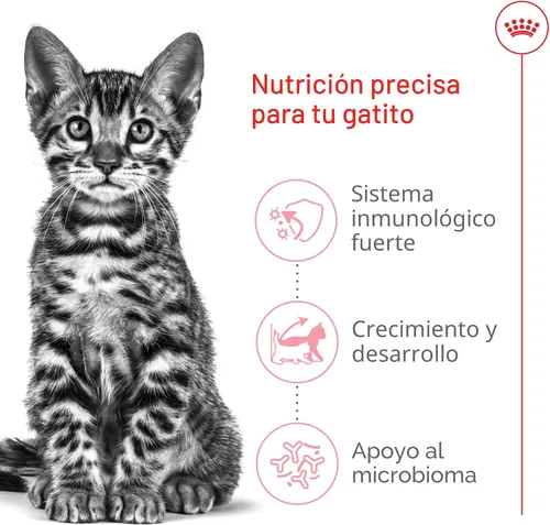 Miniatura 4 de Royal Canin Feline Health Nutrition Alimento Seco para Gatitos Esterilizados/Castrados, Bolsa de 2.5 libras