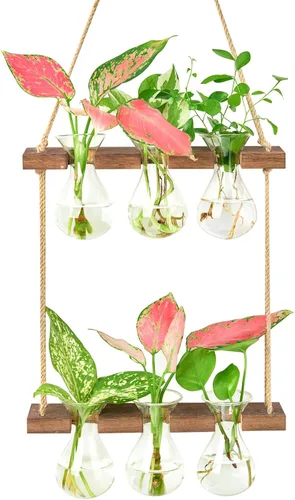 XXXFLOWER Estación de Propagación Colgante de Pared con Soporte de Madera 3 Jarrones de Bulbo 2 Niveles Maceteros Terrario de Pared para Casa