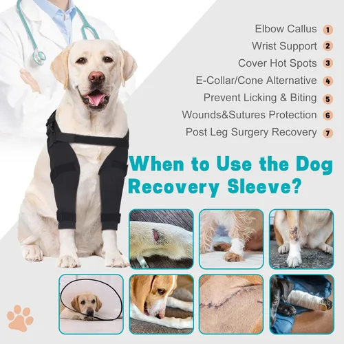 Miniatura 6 de Funda protectora de codo para perro para artritis, higroma, úlceras por presión y callosidades, manga ajustable para patas delanteras de perro