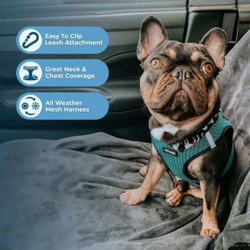 Miniatura 71 de Best Pet Supplies Voyager Step-in Air Arnés – Malla para todo clima, reflectante, arnés antitirones para perros y gatos, seguro con cierre de gancho