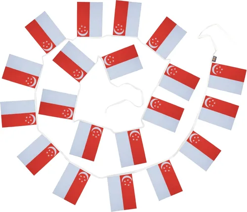 Miniatura 6 de AZ FLAG Singapur 19.7 ft BUNTING Flag 20 banderas 9'' x 6'' - Banderas de cuerda de Singapur 5.9 x 8.3 in