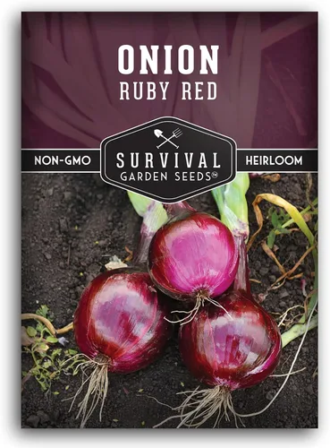 Survival Garden Seeds Semillas de cebolla roja rubí para plantar, 1 paquete con instrucciones para cultivar cebollas en rodajas de un día largo en