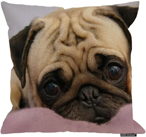Miniatura 9 de HGOD DESIGNS Funda de almohada de perro Pug de 18 x 18 pulgadas con cremallera de dos lados