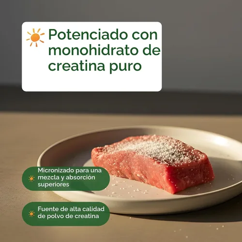 Miniatura 6 de NatureBell Polvo de Monohidrato de Creatina Instantáneo 500 Gramos, 5000mg Por Porción, Polvo de Creatina Micronizado Sin Sabor - Pre Entrenamiento