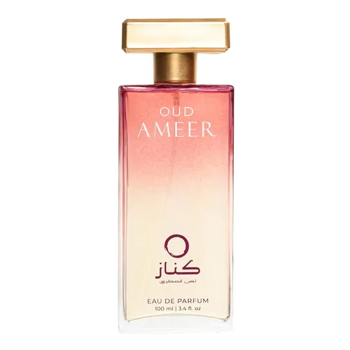 OUD AMEER | Fragancia para hombre | Perfume para hombre | Nota superior almizclada | Paquete de 3.4 fl oz | 3.4 onzas | Fragancia ámbar y oriental |
