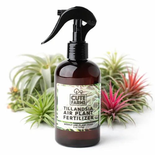 Cute Farms Tillandsia Fertilizante para plantas de aire, fórmula suave de uso semanal, alimento vegetal | Nutrientes formulados para plantas de aire