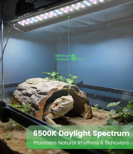 Miniatura 6 de Luz LED para reptiles T5 UVB de 23 W – Luz UVA UVB de alto rendimiento para dragón barbudo, lámpara de reptil T5 10.0 UVB (27.5 pulgadas)