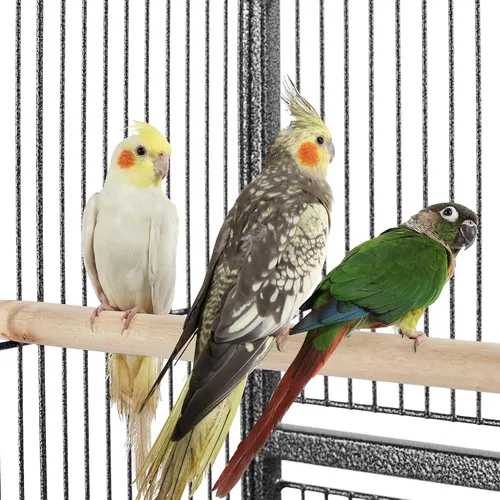 Miniatura 4 de Yaheetech Jaula de hierro forjado extra grande para periquitos con soporte desmontable para cacatúa, sol, mejilla, conure, agapornis, pinzón