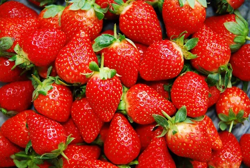 Miniatura 3 de Más de 200 semillas de fresa roja trepadora para plantar, semillas de frutas de jardín Everbearing fáciles de cultivar - Se envía desde Iowa, EE. UU