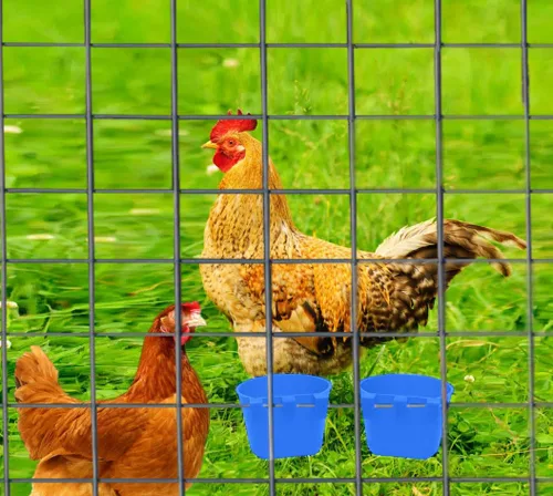 Miniatura 4 de Paquete de 40 Tazas para Jaulas Comederos para Pájaros Cuenco de Semillas Plato de Alimentación y Agua para Pollos Agua y Comida para Conejos Jaulas