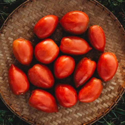 Miniatura 2 de Amish Pasta de tomate – 50 semillas – Variedad de tomate Amish de reliquia, súper para salsa y conserva, semillas de tomate tradicionales cultivadas