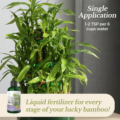 Miniatura 8 de Fertilizante líquido profesional para bambú de la suerte Concentrado 3-1-2 para plantas con flores Mezcla multiusos y suministros de jardinería
