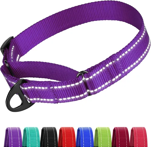Miniatura 19 de CollarDirect Martingale - Collar de nailon resistente para perros pequeños, medianos y grandes [nailon, estampado, aguamarina, L, 15-20 pulgadas)