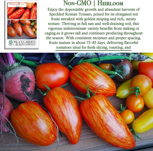 Miniatura 3 de Semillas de tomate romano moteadas (Lycopersicon lycopersicum) – Más de 100 semillas tradicionales sin OMG de Isla's Garden Seeds, pasta a rayas