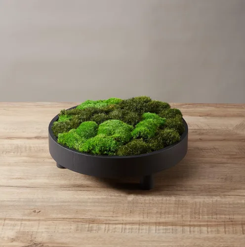 Miniatura 10 de Cojín de Musgo Polar Preservado en Forma de Bollo, Verde Natural Decorativo Real Natural, Kit de Bricolaje para Terrarios, Arte de Jardín