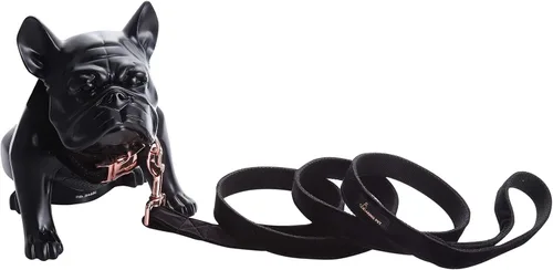Miniatura 7 de ARING PET Collar y correa para perro, juego de collar y correa de terciopelo para perro, suave y cómodo, collares ajustables para perros