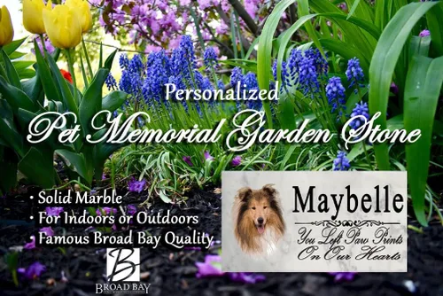 Miniatura 3 de Broad Bay Collie Dog Memorial Stone - Placa de lápida personalizada para exteriores