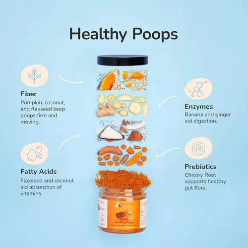 Miniatura 2 de kin+kind Probióticos + paquete de cadera y articulaciones para perros y gatos – Apoyo natural digestivo y articular con prebióticos, fibra y cúrcuma